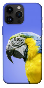 Чехол Попугай ара для iPhone 14 Pro Max