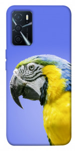 Чехол Попугай ара для Oppo A16 4G