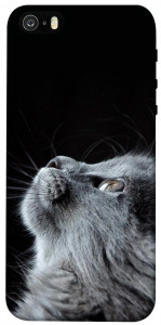 Чохол Cute cat для iPhone 5