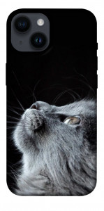 Чохол Cute cat для iPhone 14