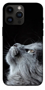 Чохол Cute cat для iPhone 14 Pro Max