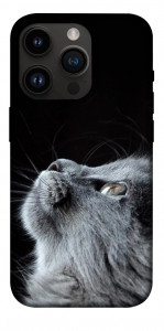 Чехол Cute cat для iPhone 14 Pro