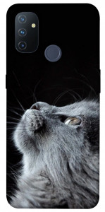 Чохол Cute cat для OnePlus Nord N100