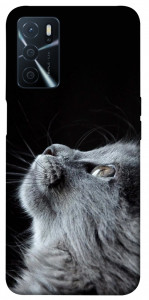 Чехол Cute cat для Oppo A54s