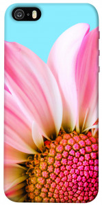 Чохол Квіткові пелюстки для iPhone 5