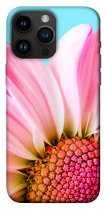 Чехол Цветочные лепестки для iPhone 14 Pro Max