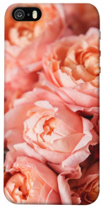 Чохол Ніжні троянди для iPhone 5