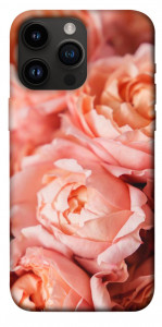 Чехол Нежные розы для iPhone 14 Pro Max
