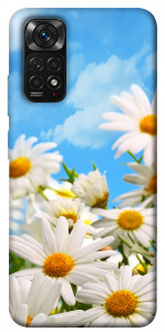 Чехол Ромашковое поле для Xiaomi Redmi Note 11S