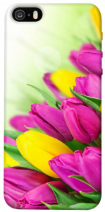 Чохол Барвисті тюльпани для iPhone 5