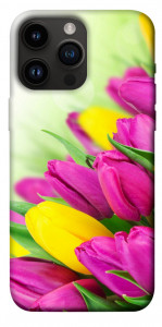 Чехол Красочные тюльпаны для iPhone 14 Pro Max