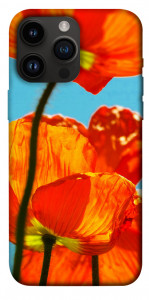 Чехол Яркие маки для iPhone 14 Pro Max