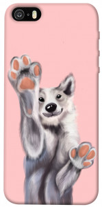 Чохол Cute dog для iPhone 5