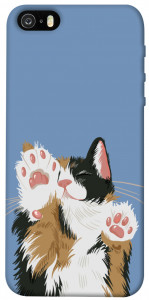 Чохол Funny cat для iPhone 5