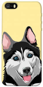 Чохол Husky dog для iPhone 5