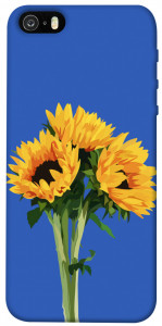 Чохол Bouquet of sunflowers для iPhone 5