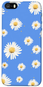 Чехол Chamomile pattern для iPhone 5S