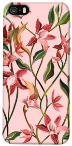 Чехол Floral motifs для iPhone 5