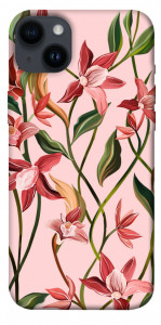 Чехол Floral motifs для iPhone 14 Plus