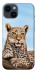 Чохол Proud leopard для iPhone 14