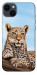 Чохол Proud leopard для iPhone 14 Plus