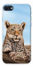 Чехол Proud leopard для iPhone SE (2022)