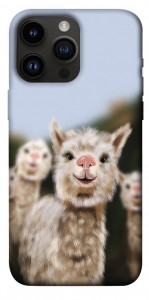 Чехол Funny llamas для iPhone 14 Pro Max