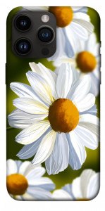 Чехол Ароматная ромашка для iPhone 14 Pro Max