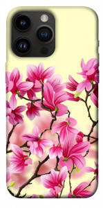 Чехол Цветы сакуры для iPhone 14 Pro Max