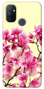 Чехол Цветы сакуры для OnePlus Nord N100