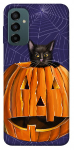 Чехол Cat and pumpkin для Galaxy M23 5G