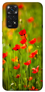 Чехол Маковое поле для Xiaomi Redmi Note 11S