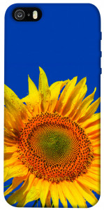 Чохол Sunflower для iPhone 5