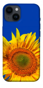 Чехол Sunflower для iPhone 14