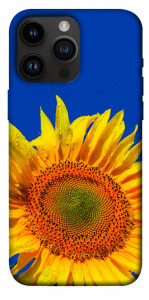 Чохол Sunflower для iPhone 14 Pro Max