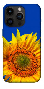 Чехол Sunflower для iPhone 14 Pro