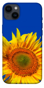 Чехол Sunflower для iPhone 14 Plus