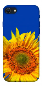 Чохол Sunflower для iPhone SE (2022)