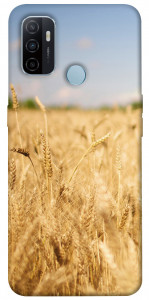 Чехол Поле пшеницы для Oppo A53