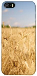 Чехол Поле пшеницы для iPhone 5S