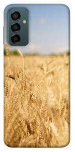 Чехол Поле пшеницы для Galaxy M23 5G