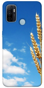 Чохол Пшениця для Oppo A53