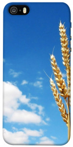 Чехол Пшеница для iPhone 5S
