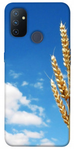 Чехол Пшеница для OnePlus Nord N100