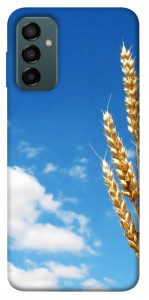 Чехол Пшеница для Galaxy M23 5G