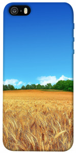 Чехол Пшеничное поле для iPhone 5