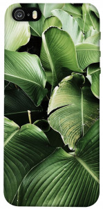 Чехол Тропическая листва для iPhone 5