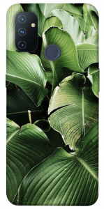 Чехол Тропическая листва для OnePlus Nord N100