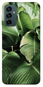 Чохол Тропічние листя для Galaxy M23 5G