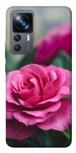 Чехол Роза в саду для Xiaomi 12T Pro
